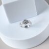 img_6679-3 sterling silver rose and leaves ring